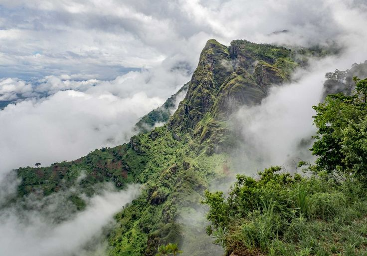 3 Days Tanzania Usambara Mountain Hike